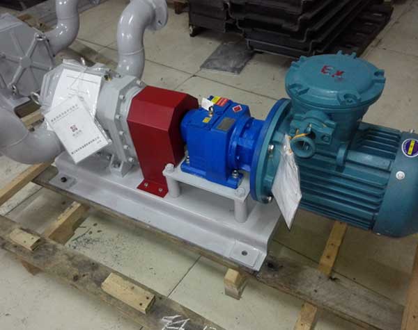 不銹鋼轉(zhuǎn)子泵生產(chǎn)廠家 不銹鋼轉(zhuǎn)子泵生產(chǎn)廠家