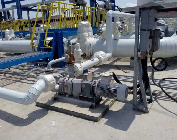 不銹鋼凸輪轉(zhuǎn)子泵型號 不銹鋼凸輪轉(zhuǎn)子泵型號