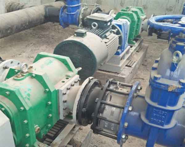 回流污泥轉子泵 回流污泥轉子泵
