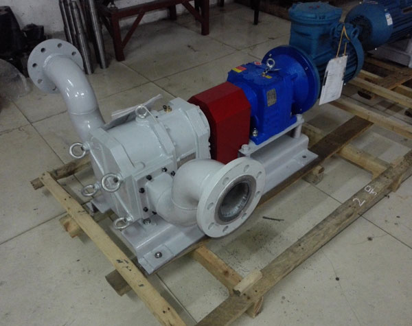 不銹鋼轉(zhuǎn)子泵 不銹鋼轉(zhuǎn)子泵